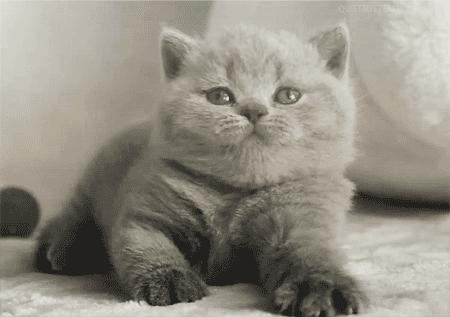 孩子靠画画赚钱,靠孩子的画赚钱