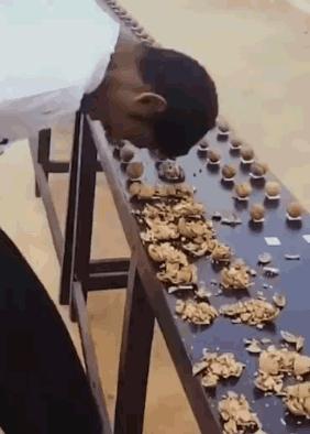 世界上最无聊的吉尼斯世界纪录,吉尼斯世界无聊记录