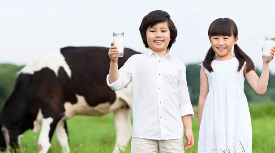 伊利互联网转型,伊利乳业发展历程