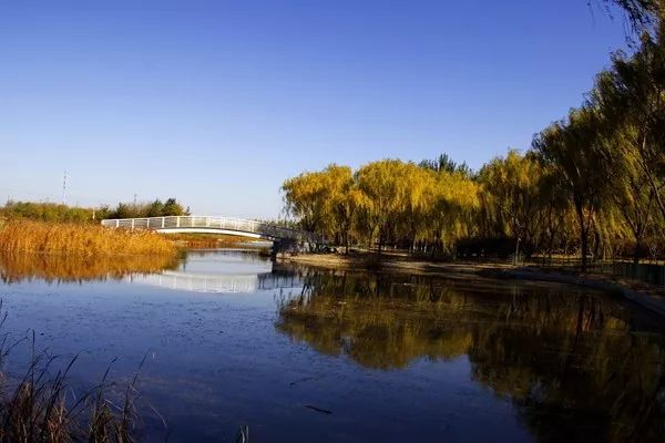 企业文化休闲区域展示,工厂改造成文化创意园