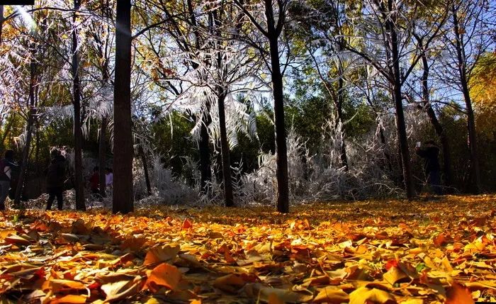 企业文化休闲区域展示,工厂改造成文化创意园