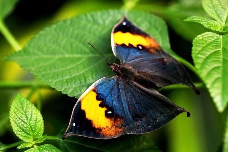 儿童定制礼物推荐,给幼儿园孩子准备的私人定制礼物