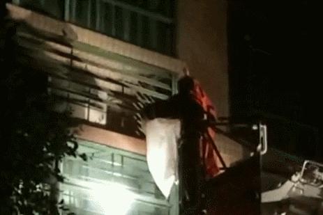 清溪一住宅小区藏了两个“足球窝”，上面爬满了马蜂