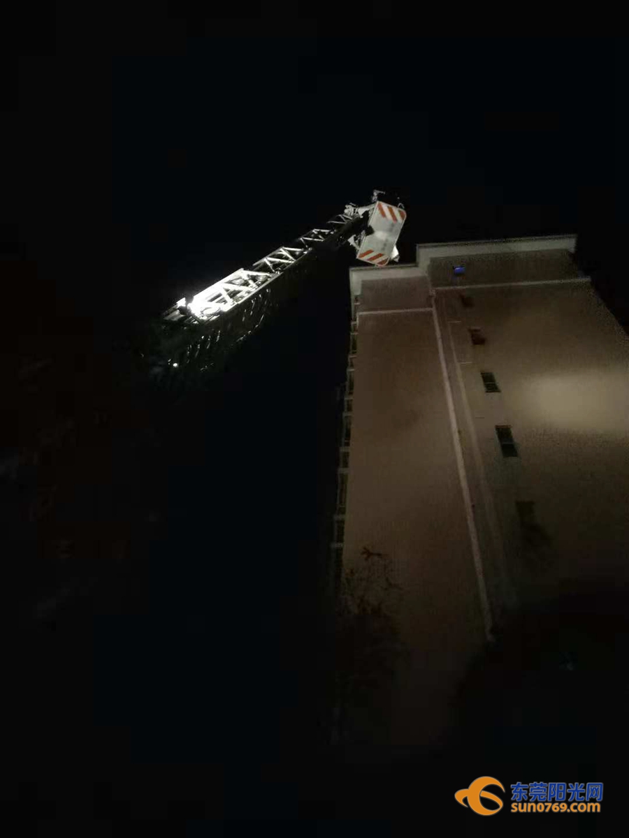 清溪一住宅小区藏了两个“足球窝”，上面爬满了马蜂