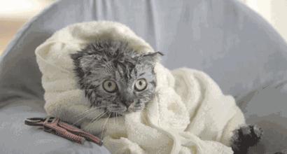 天气暖了身上冷怎么回事,天气很暖为啥总感觉冷