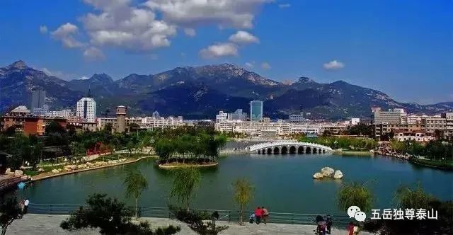 山东真相百分百靠谱吗,山东曝光的新闻