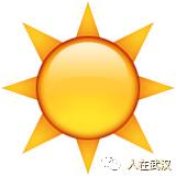 花市买10元3盆多肉,武汉多肉花卉便宜