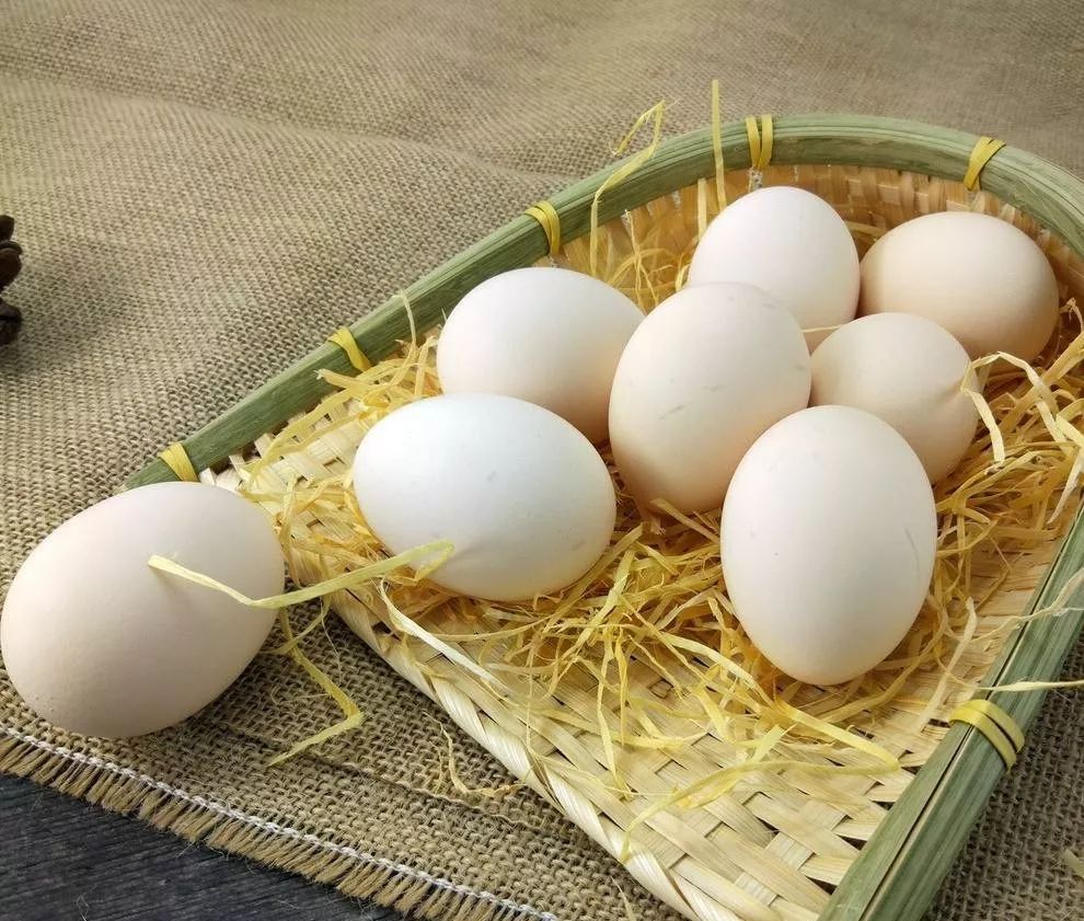 人体缺乏酵素谣言,酵素能防癌症吗