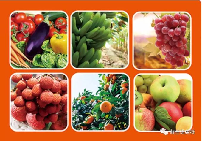 优美特水溶肥料价格,优美特化肥