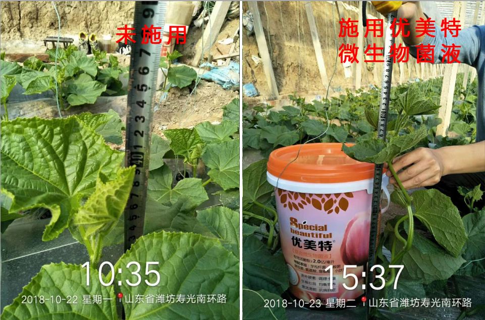 优美特水溶肥料价格,优美特化肥