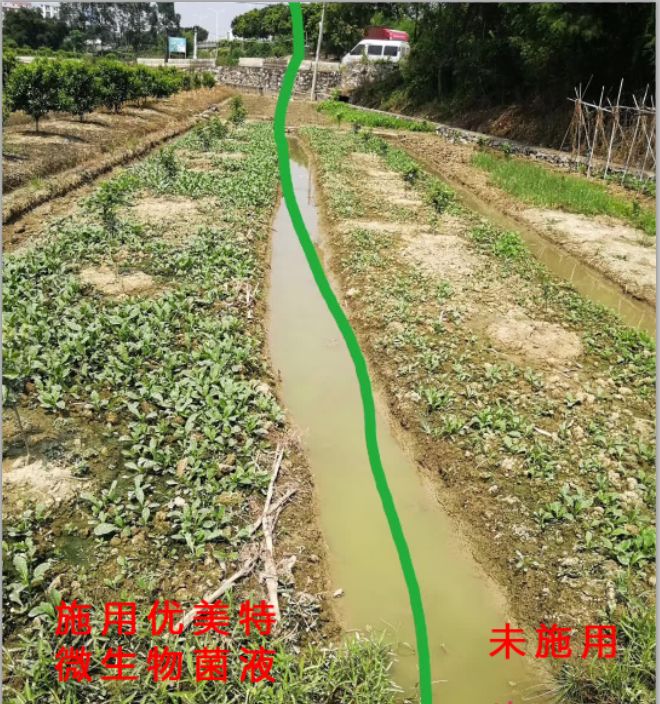 优美特水溶肥料价格,优美特化肥
