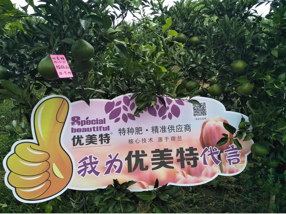 优美特水溶肥料价格,优美特化肥