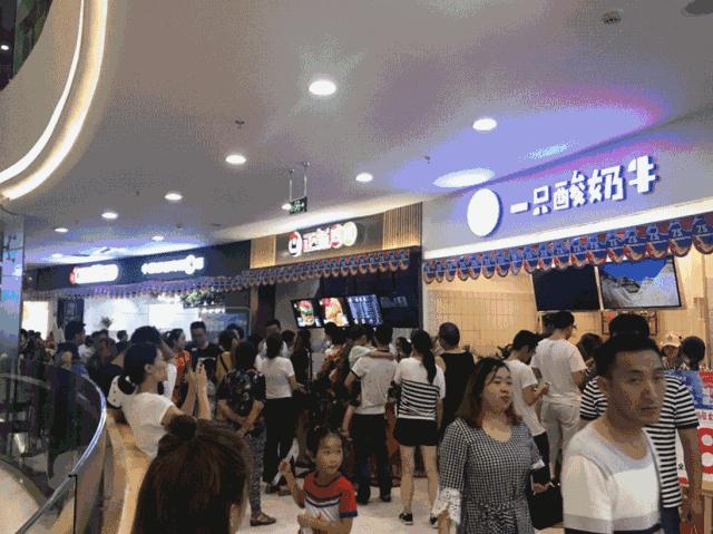 2009年九城置业杯视频,九城置业杯冠军