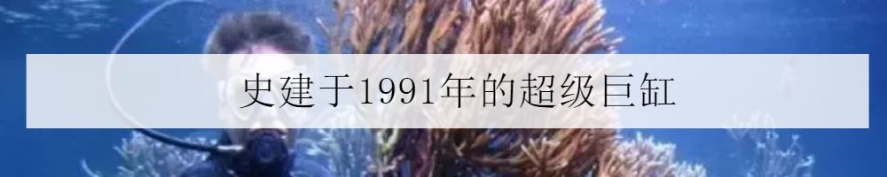被海葵蜇了排毒要多久,戴着手套会被海葵蜇到吗