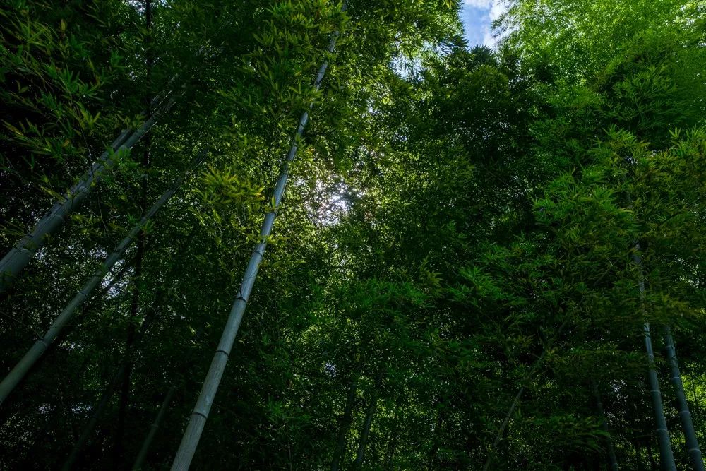 爱爬山的人都爬什么山,爱爬山的山里人完整版