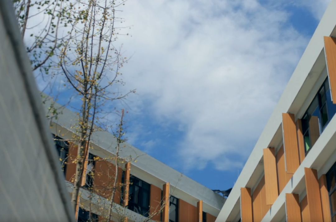 成都最美小学,成都十大最美小学