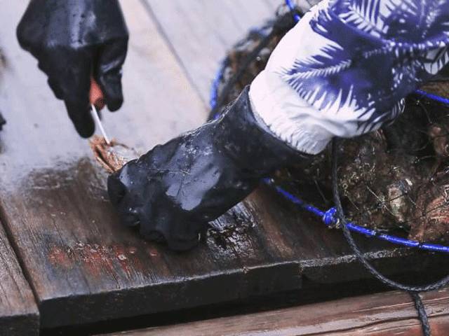 日常不化妆涂了可以出门的素颜霜,直接涂就可以出门的素颜霜推荐