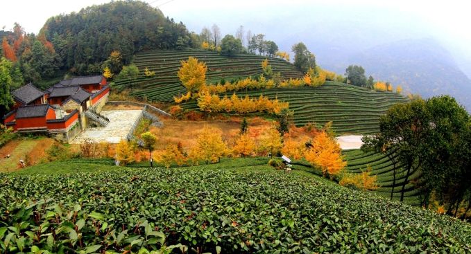 佛山机场有直飞上海的吗,最新佛山机场直飞航班信息