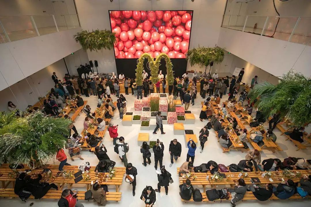 麦当劳绿了,麦当劳变绿了怎么回事