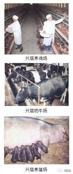 敲黑板！这里有你前所未闻的兴塔最简史！