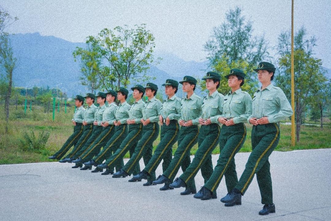 部队收到数字怎么表示,部队数字代表