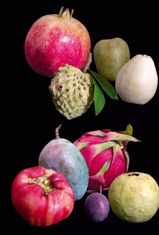 干热河谷种的热带水果,攀枝花干热河谷的热带水果王国