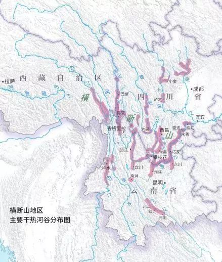 干热河谷种的热带水果,攀枝花干热河谷的热带水果王国