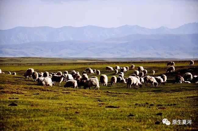 夏河县电商中心线下选购有优惠，仅限双12期间
