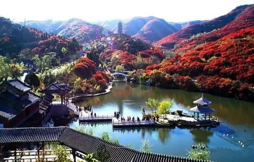 兄dei，你有一份最美赏红叶推荐请关注查收