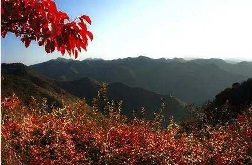 兄dei，你有一份最美赏红叶推荐请关注查收