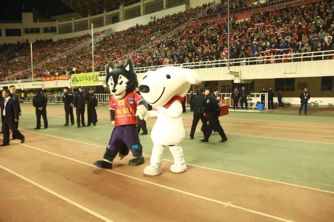 这个双11不平庸,京东物流新能量