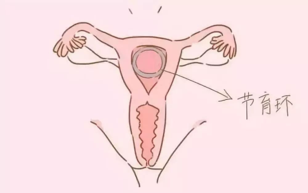 纪教授讲解视频,纪教授说医