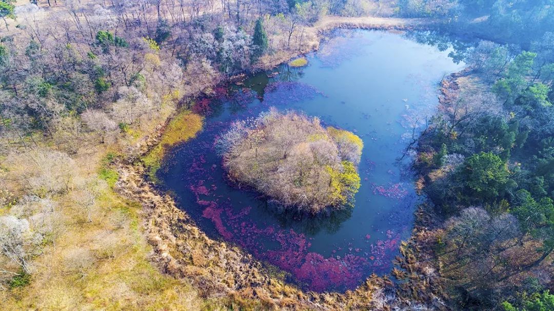 航拍蚌埠,航拍超震撼的蚌埠淮河大桥