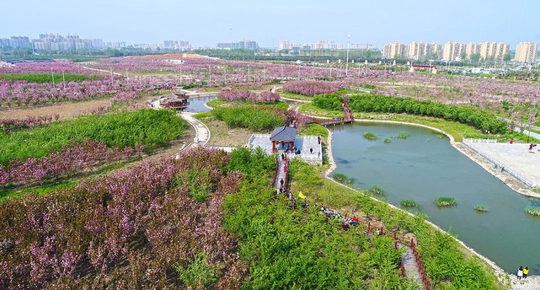 航拍蚌埠,航拍超震撼的蚌埠淮河大桥