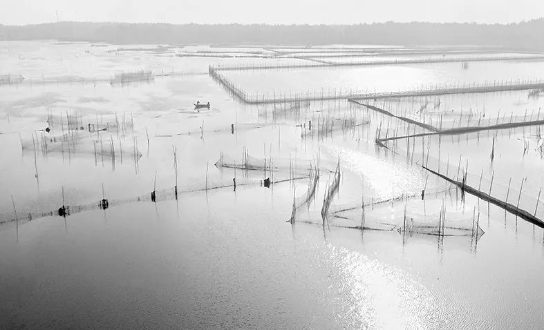 航拍蚌埠,航拍超震撼的蚌埠淮河大桥