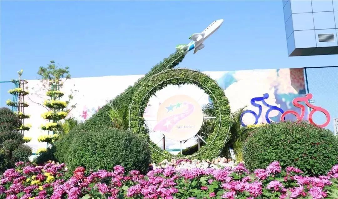 体育中心看展菊,运动公园菊展