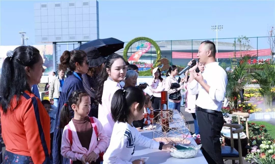 体育中心看展菊,运动公园菊展