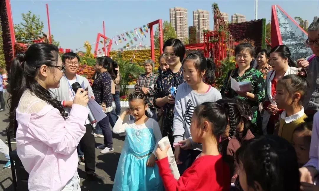 体育中心看展菊,运动公园菊展