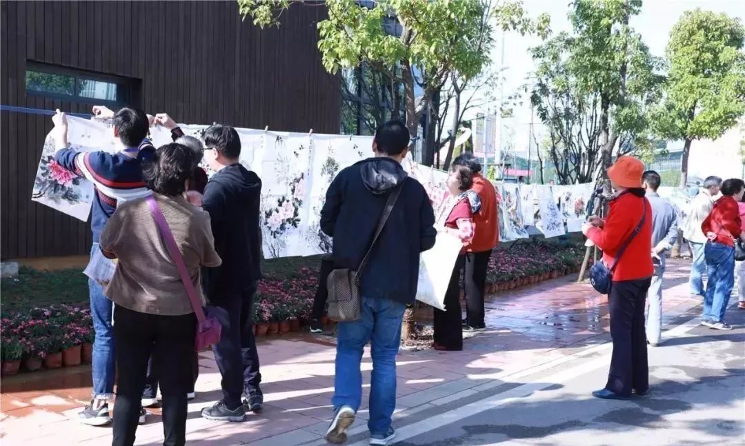 体育中心看展菊,运动公园菊展