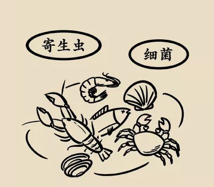 吃海鲜有什么讲究,吃海鲜的关注事项