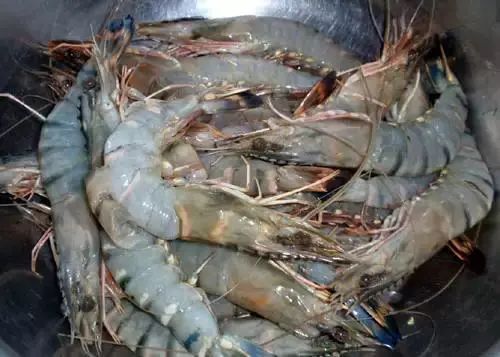 吃海鲜有什么讲究,吃海鲜的关注事项