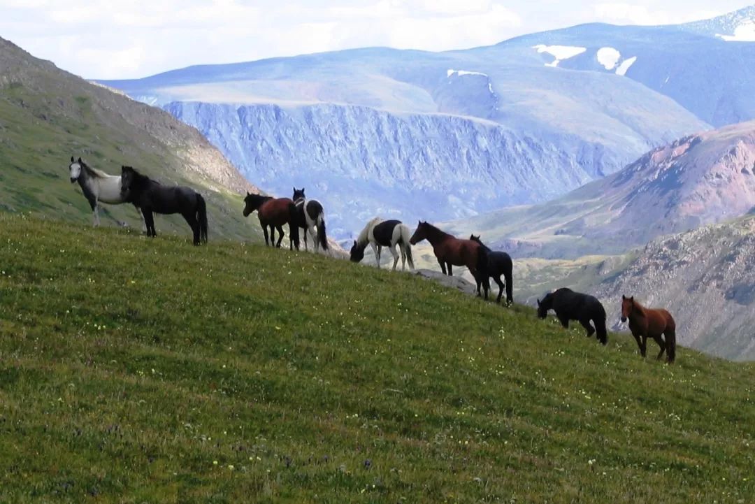 图瓦村旅游攻略,图瓦村旅游攻略大全