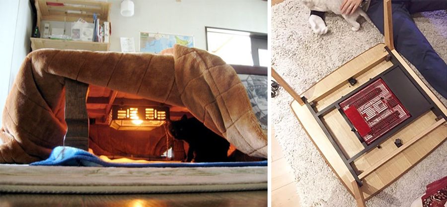 一条精选｜过冬神器桌下取暖板，新西兰国民级除臭脚粉