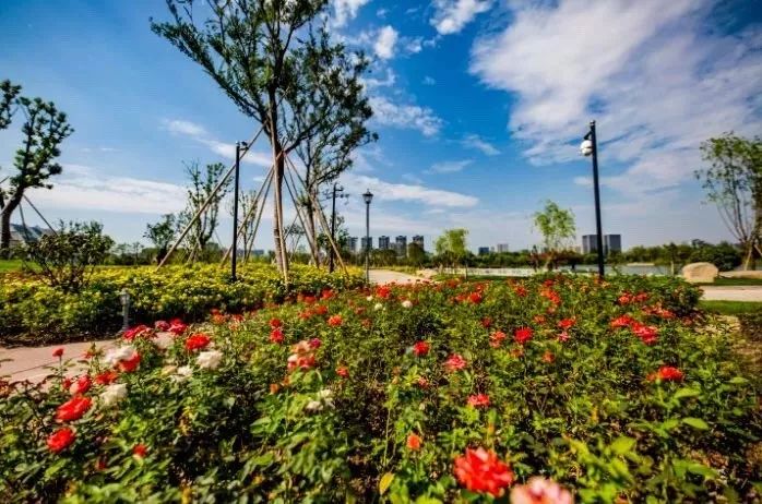 钱塘江附近景点,钱塘江免费打卡点