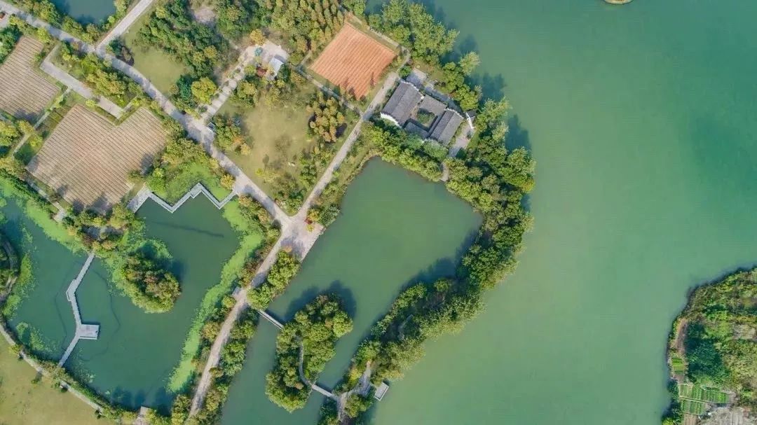 钱塘江附近景点,钱塘江免费打卡点