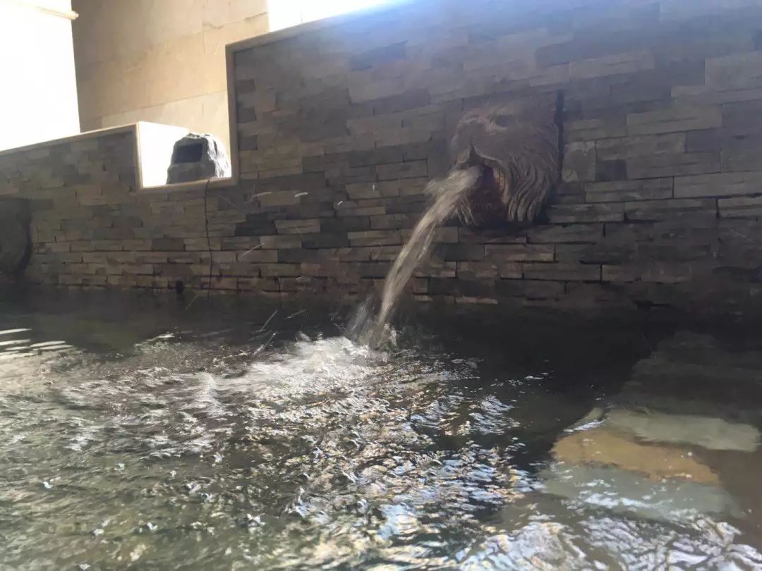 泰山温泉城有什么,泰山温泉城真实事件