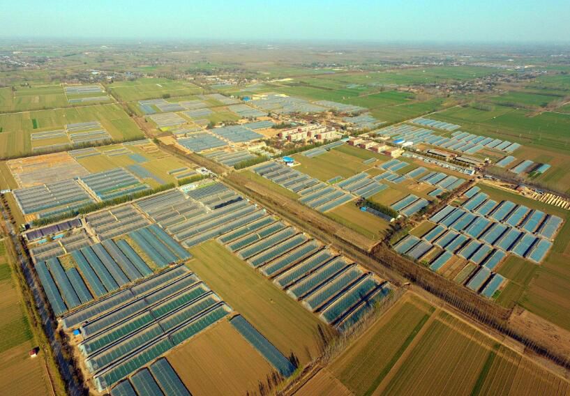 聊城市最美的村,山东聊城著名特色小镇有哪些