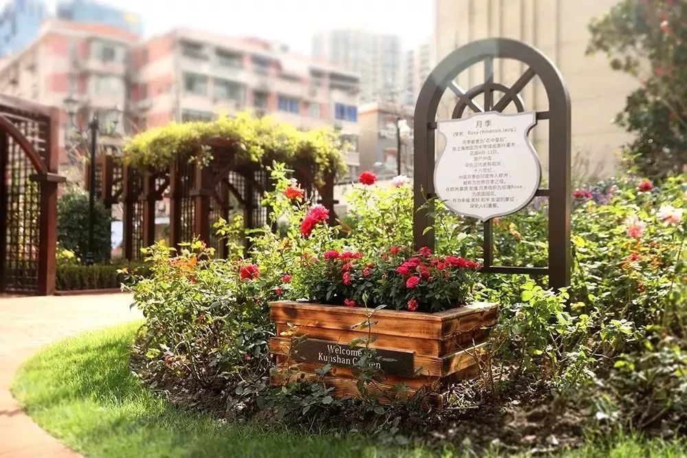 昆山百年公园怎么样,昆山百年公园规划图