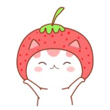 先睹为快完整版,先睹为快