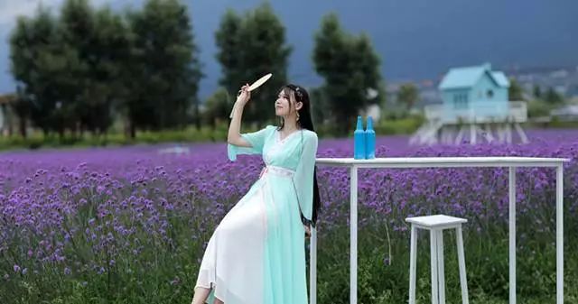 大理云海花海,大理花海漫步